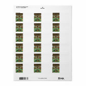 ブックツリー住所 シール (フルシート)