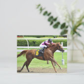 ブックレビュー ポストカード (スタンド正面)