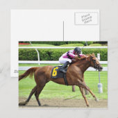 ブックレビュー ポストカード (正面/裏面)