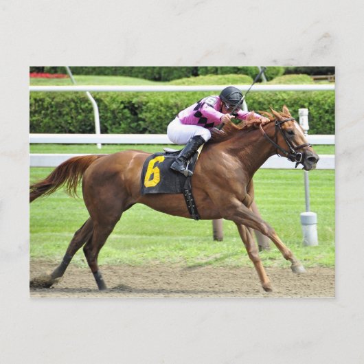 ブックレビュー ポストカード (正面)