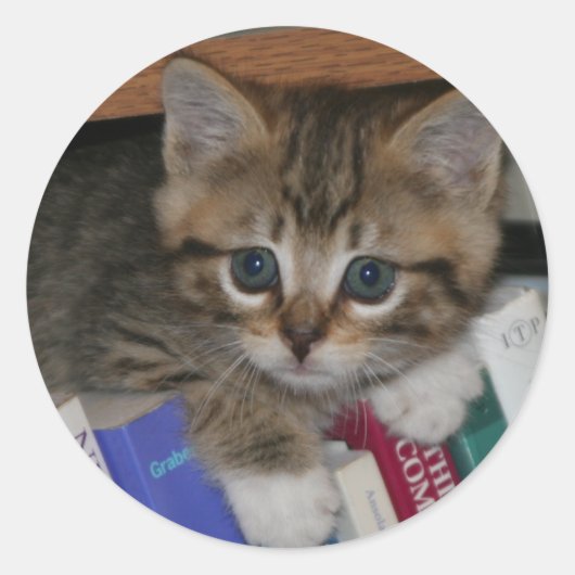 ブックワームのシール ラウンドシール (正面)