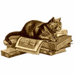 ブックワーム読猫の本 フォトスカルプチャー<br><div class="desc">Bookworm Kitty Catはギフト製品に印刷さ読れた図書室の本に休んでいる。</div>