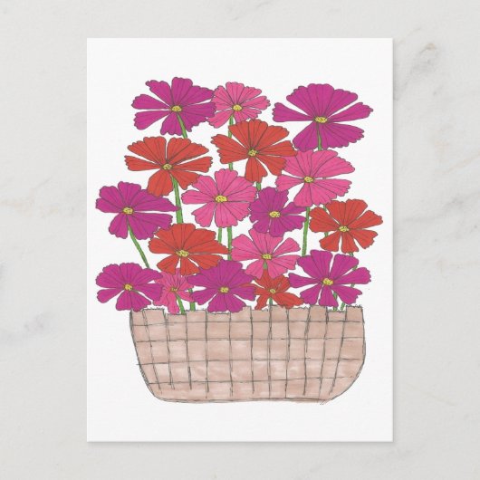 ブッシェル・オブ・ブライト・コスモス ポストカード (正面)