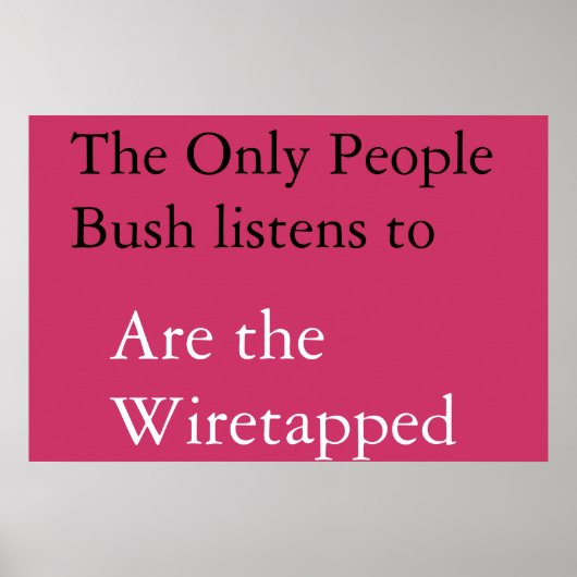 ブッシュの影響 ポスター (正面)