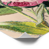 ブッシュガーデングリーンソフトピンクのバラ ポスター (角)