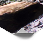 ブッシュキル秋 ポスター (角)