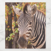 ブッシュフェルトのを持つアストライプフリカ・バーチェルのゼブラ ワインラベル (シングルラベル)