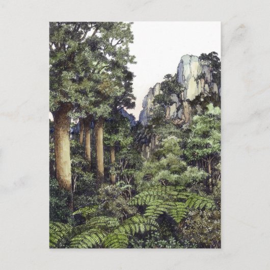 ブッシュプリントニュージーランド ポストカード (正面)