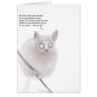 ブッシュベビーの無政府主義者