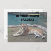 ブッシュ・ガーデン ポストカード (正面/裏面)