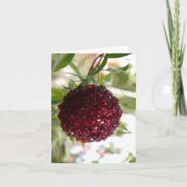 ブッシュ・クリスマス シーズンカード