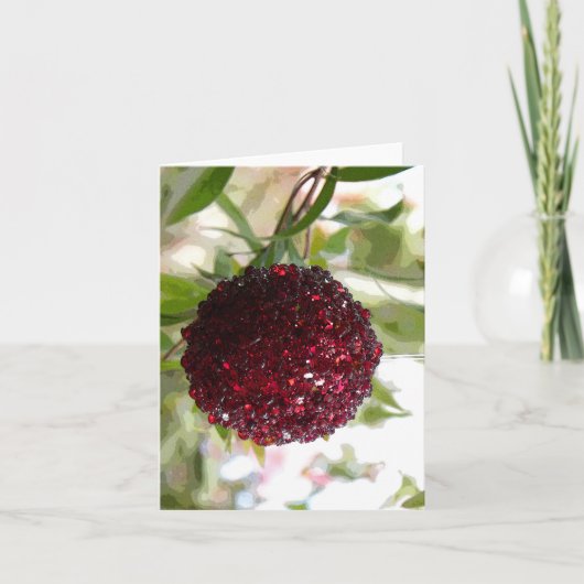 ブッシュ・クリスマス シーズンカード (正面)