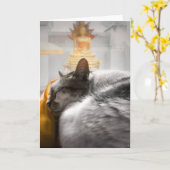 ブッダの下で眠る猫 カード (黄色い花)