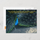 ブッダの引用文はがき ポストカード (正面/裏面)