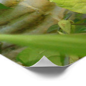 ブッダの背中 ポスター (角)