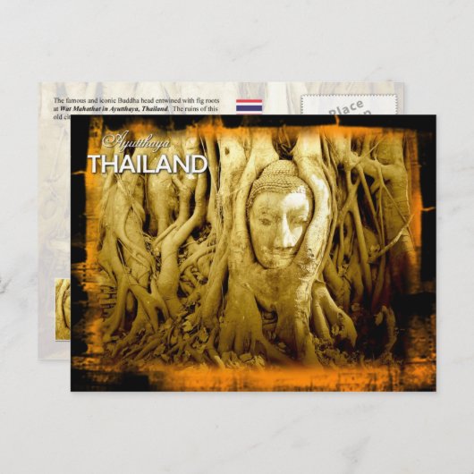 ブッダの頭がイチジクの根に絡まったアユタヤ ポストカード (正面/裏面)