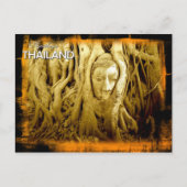 ブッダの頭がイチジクの根に絡まったアユタヤ ポストカード (正面)