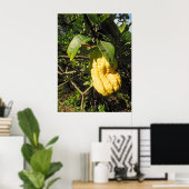 ブッダズハンドシトロン ポスター (ホームオフィス)