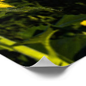 ブッダ引用文 ポスター (角)