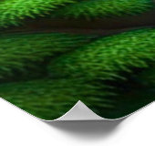 ブッダ滝 ポスター (角)