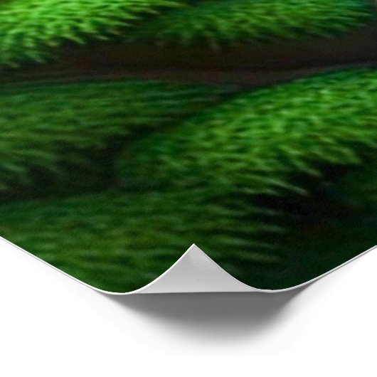 ブッダ滝 ポスター (角)