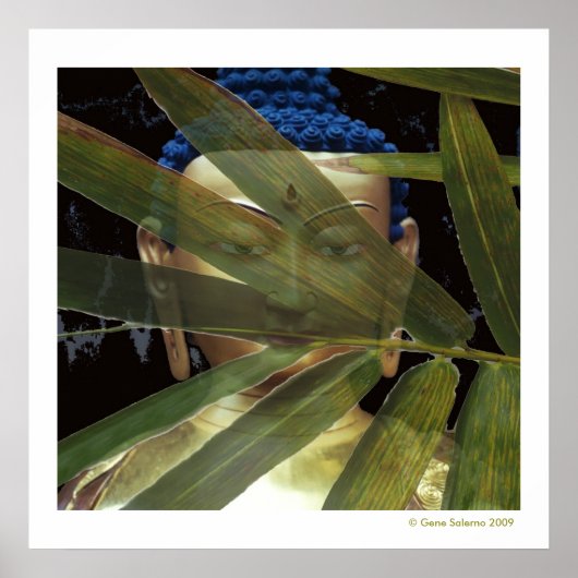 ブッダ竹 ポスター (正面)