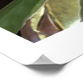 ブッダ竹 ポスター (角)