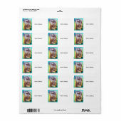 ブッダ顔グリーン ラベル (フルシート)