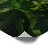 ブッダ ポスター (角)