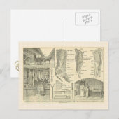 ブッチャーの店,フランス, 1920 ポストカード (正面/裏面)