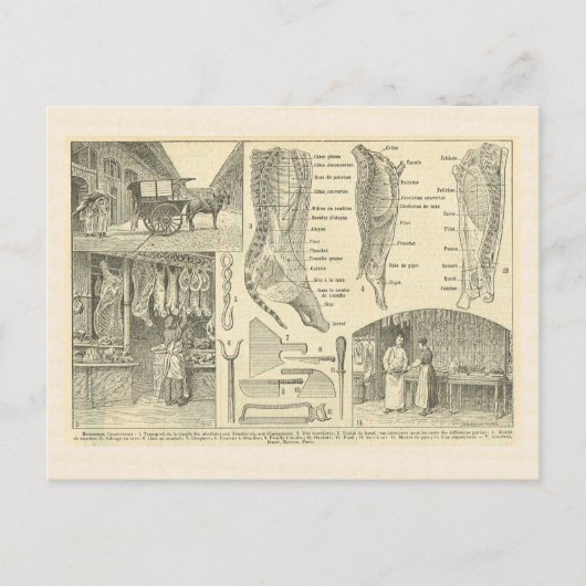 ブッチャーの店,フランス, 1920 ポストカード (正面)