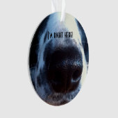 ブップ・マイ・ノーズ・コリ縁どー・ヒーラー・レスキュー・フォト オーナメント (正面)