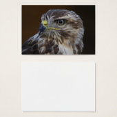 ブテオ・ブテオ (正面&裏面)