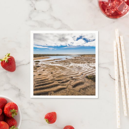 ブディールビーチ（アイスランド） スタンダードカクテルナプキン (インサイチュ)