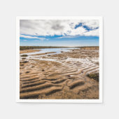 ブディールビーチ（アイスランド） スタンダードカクテルナプキン (正面)