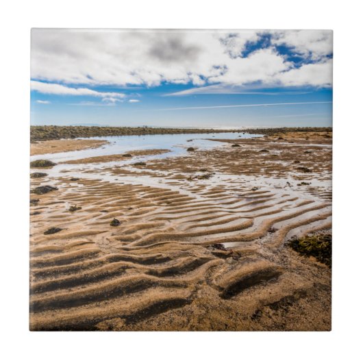 ブディールビーチ（アイスランド） タイル (正面)