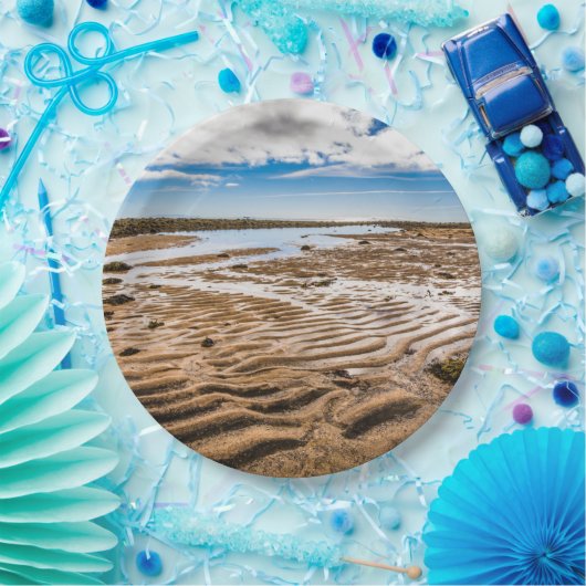 ブディールビーチ（アイスランド） ペーパープレート (パーティー)