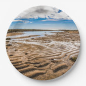 ブディールビーチ（アイスランド） ペーパープレート (正面)