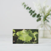 ブドウつる植物葉名刺 名刺 (スタンド正面)