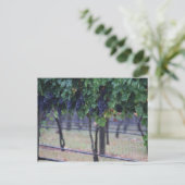 ブドウつる植物 ポストカード (スタンド正面)