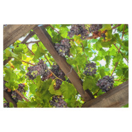 ブドウつる植物 メタルプリント