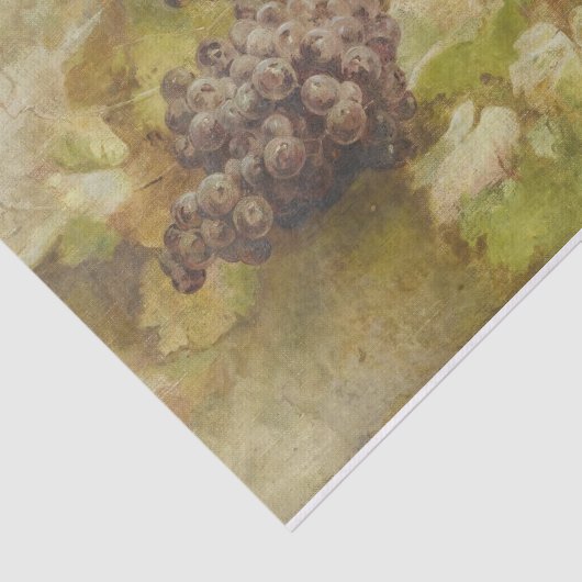 ブドウとの静物の暮らしジョバンニ 薄葉紙 (詳細)