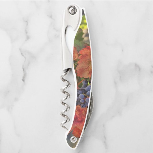 ブドウとブドウ畑が美しいワインコルク栓抜き ソムリエナイフ (正面)