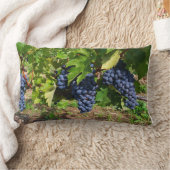 ブドウのつるのクッション ランバークッション (ブランケット)