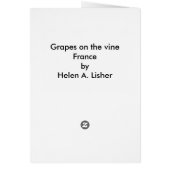 ブドウのつる植物 (裏面)