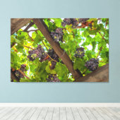 ブドウのつる植物 キャンバスプリント (インサイチュ (ウッドフロア))