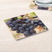 ブドウのつる植物 スクエアペーパーコースター (アングル)