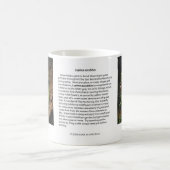 ブドウのソーダLupineのコーヒー・マグ コーヒーマグカップ (中央)