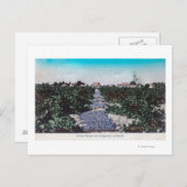 ブドウのブドウのシーン乾燥キングスバーグ, CA ポストカード (正面/裏面)