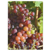 ブドウの健康のクリップボード クリップボード (裏面)